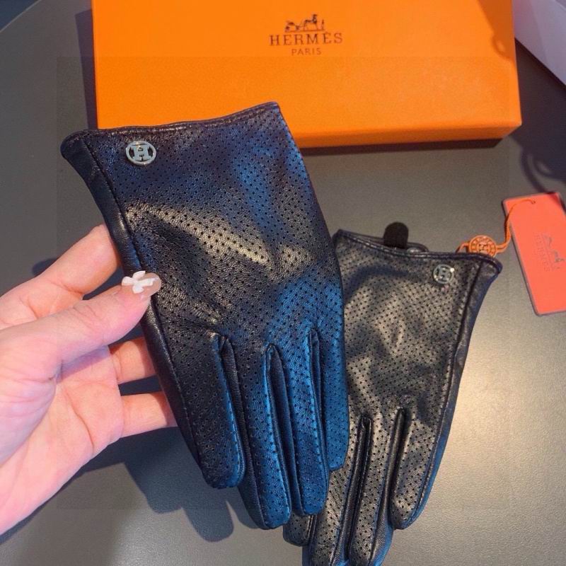 Hermes Gloves hm (10)