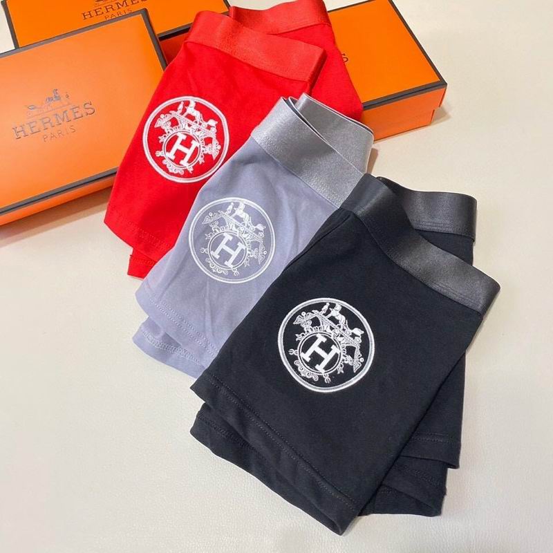 Hermes boxer L-2XL  (6)