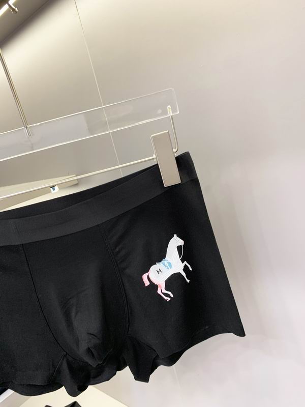 Hermes boxer L-3XL  (1)
