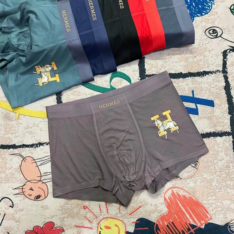 Hermes boxer L-3XL  (3)