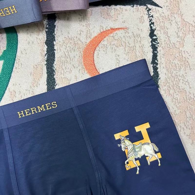 Hermes boxer L-3XL  (3)