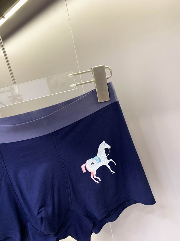 Hermes boxer L-3XL  (5)