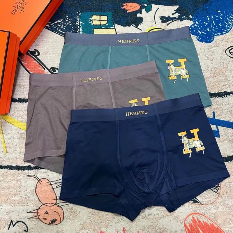 Hermes boxer L-3XL  (8)