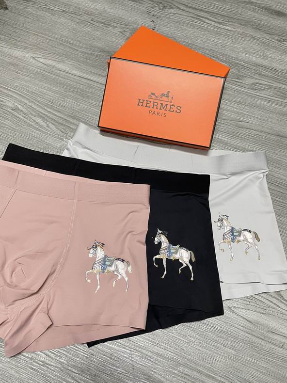 Hermes boxer L-3XL   (2)