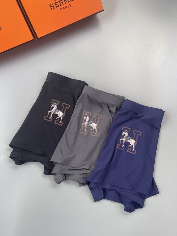 Hermes boxer L-3XL   (3)