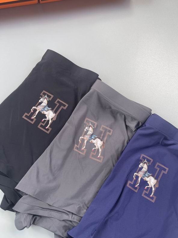 Hermes boxer L-3XL   (4)
