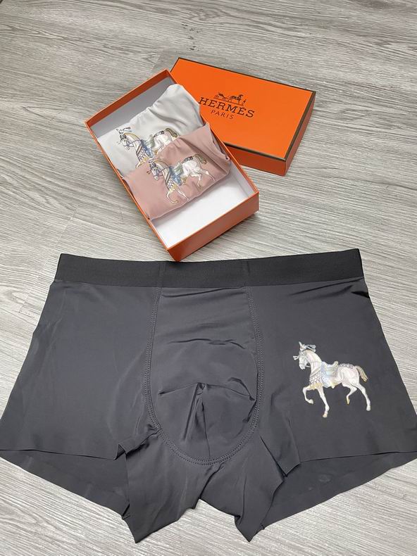 Hermes boxer L-3XL   (4)