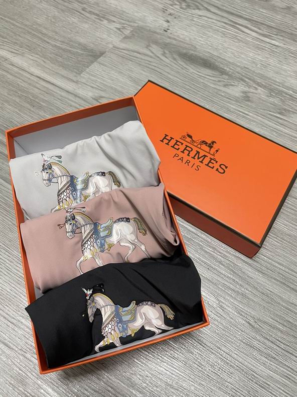 Hermes boxer L-3XL   (5)