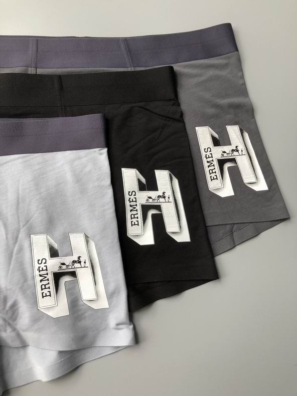 Hermes boxer L-3XL    (1)