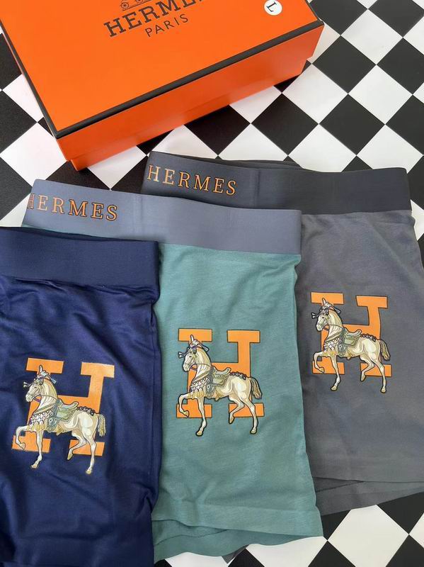 Hermes boxer L-3XL 23 (2)