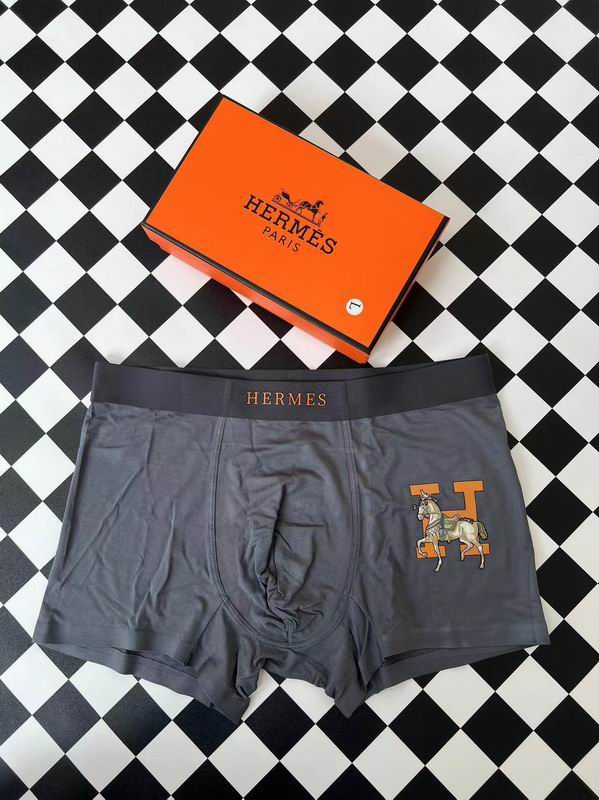 Hermes boxer L-3XL 23 (5)