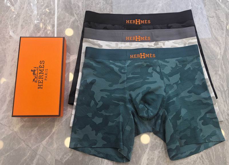 Hermes boxer L-4XL 31 (3)