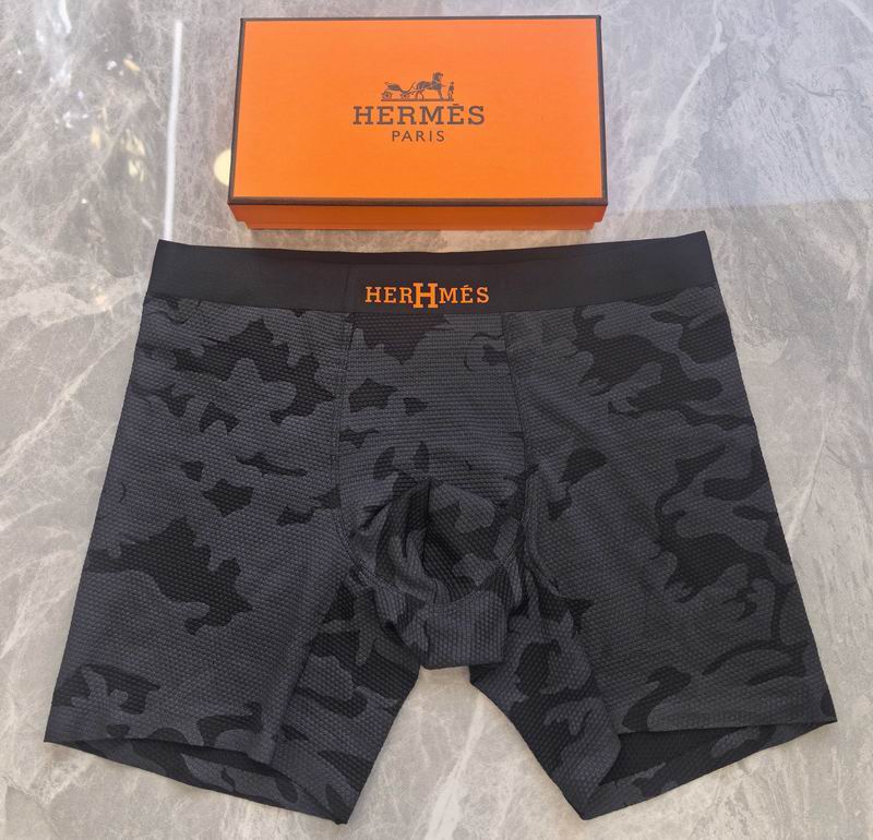 Hermes boxer L-4XL 31 (4)