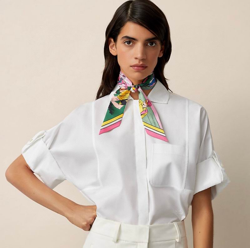 Hermes silk ribbon 5X86cm E14 (17)