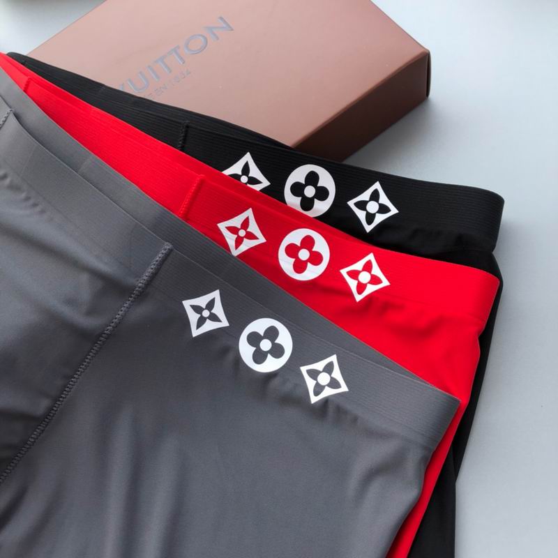 LV boxer L-3XL  (4)