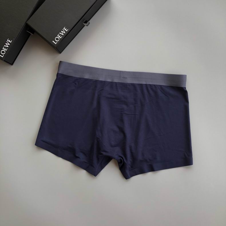 Loewe Boxer L-3XL   (2)