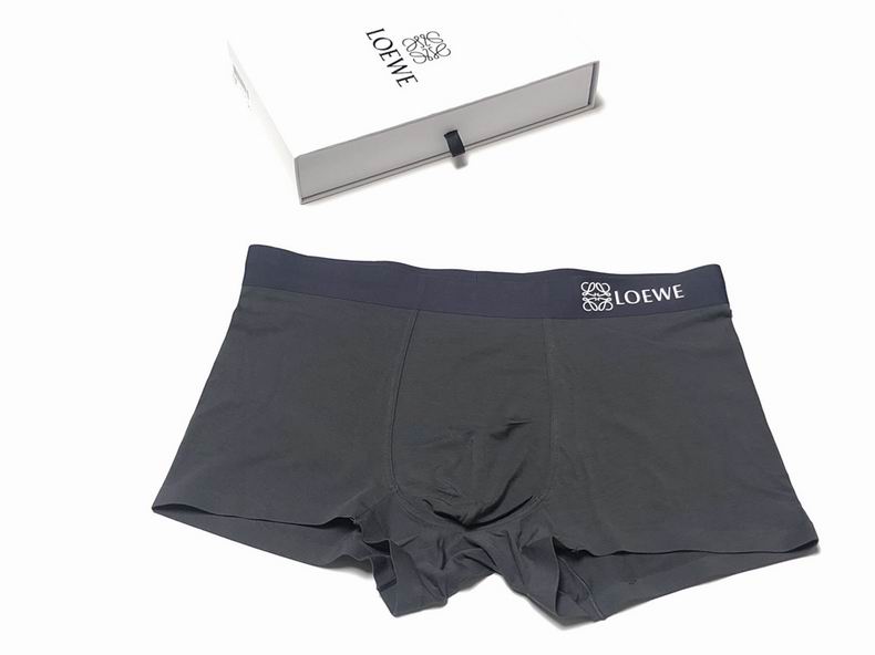 Loewe Boxer L-XXXL  (2)