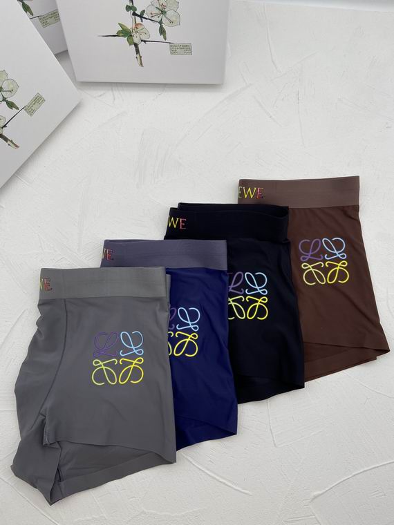 Loewe Boxer man L-3XL   (2)
