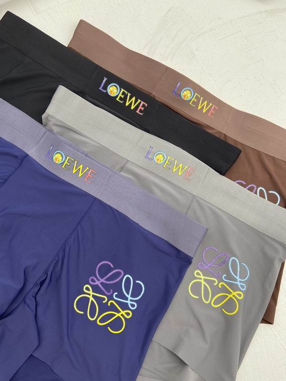 Loewe Boxer man L-3XL   (4)