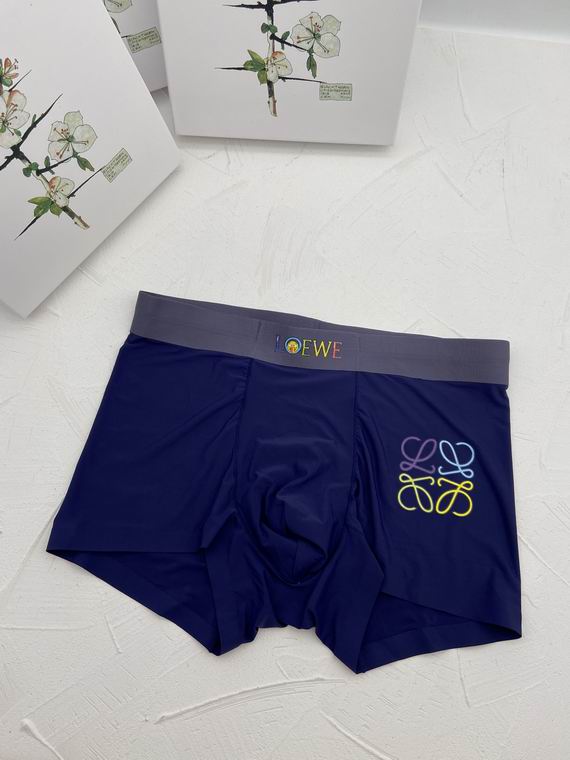 Loewe Boxer man L-3XL   (5)