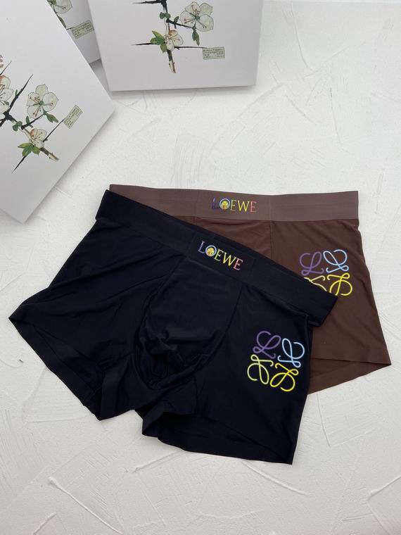 Loewe Boxer man L-3XL   (6)