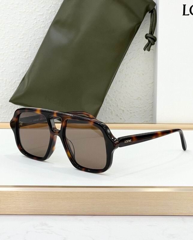 Loewe Glasses 08smh06 (6)
