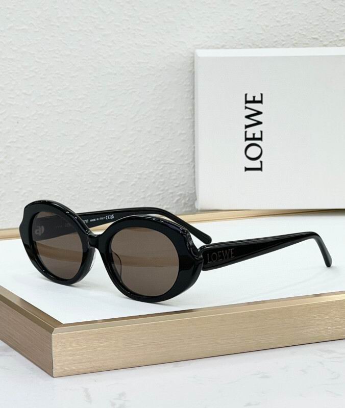 Loewe Glasses 08smh07 (7)
