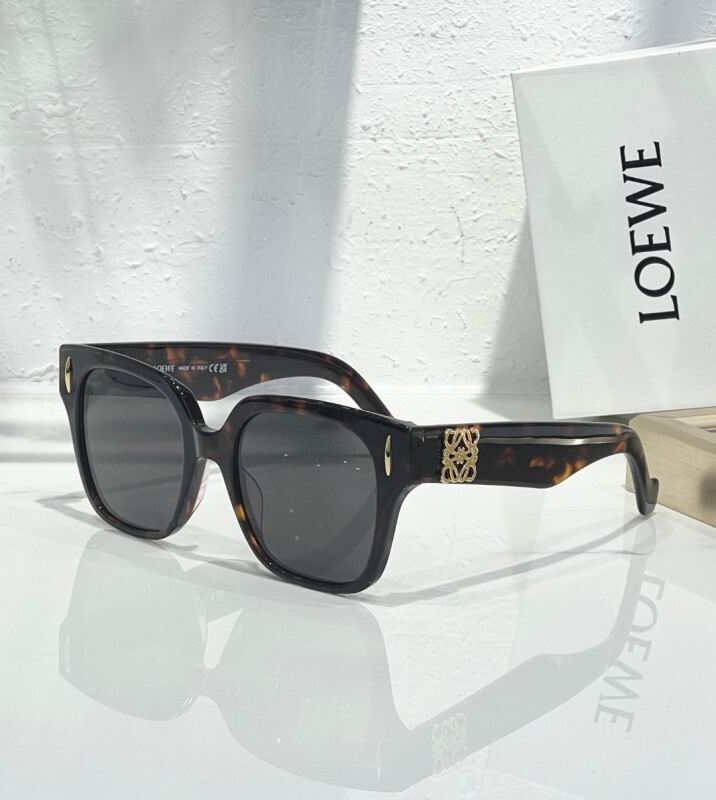 Loewe Glasses 08smh12 (3)