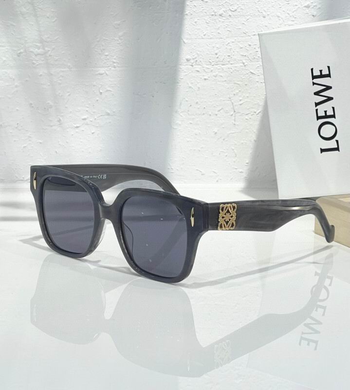 Loewe Glasses 08smh12 (6)