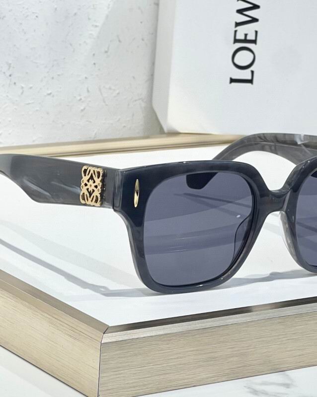 Loewe Glasses 08smh12 (8)