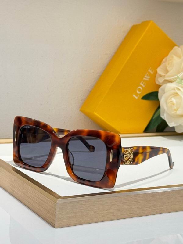 Loewe Glasses 08smh17 (5)