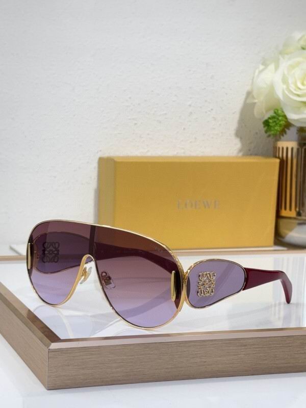 Loewe Glasses 08smh19 (6)