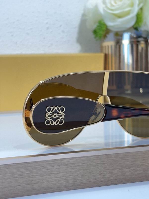 Loewe Glasses 08smh19 (9)