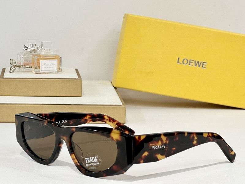 Loewe Glasses 08smh22 (8)