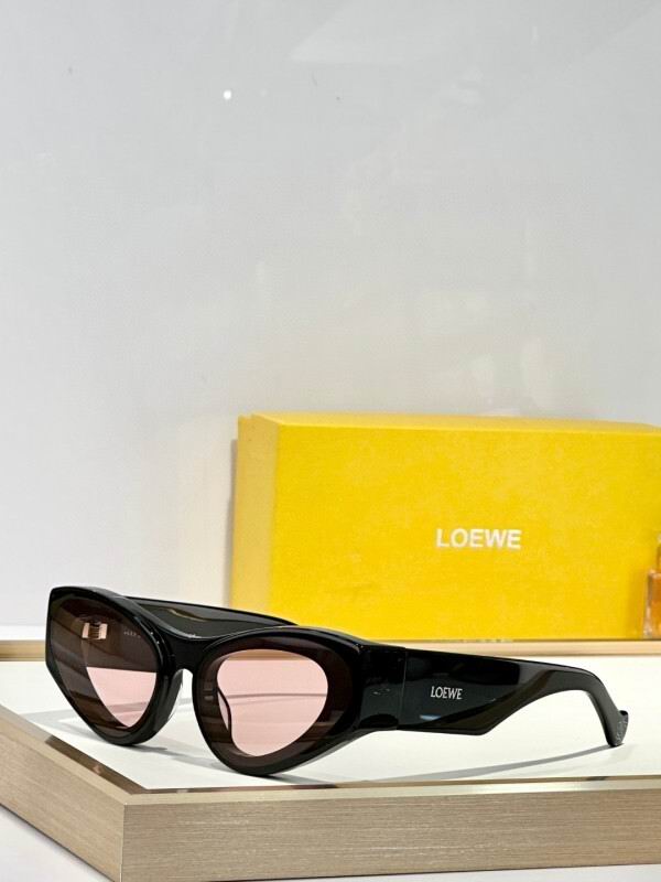 Loewe Glasses 08smh30 (4)