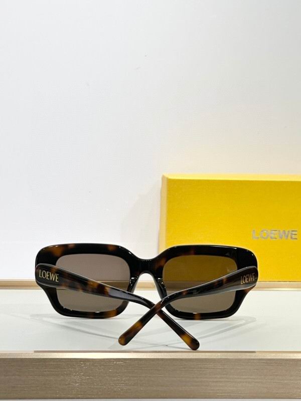 Loewe Glasses 08smh39 (9)
