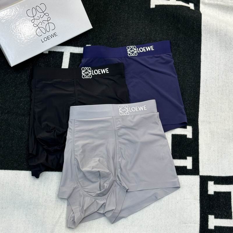 Loewe boxer L-3XL (2)