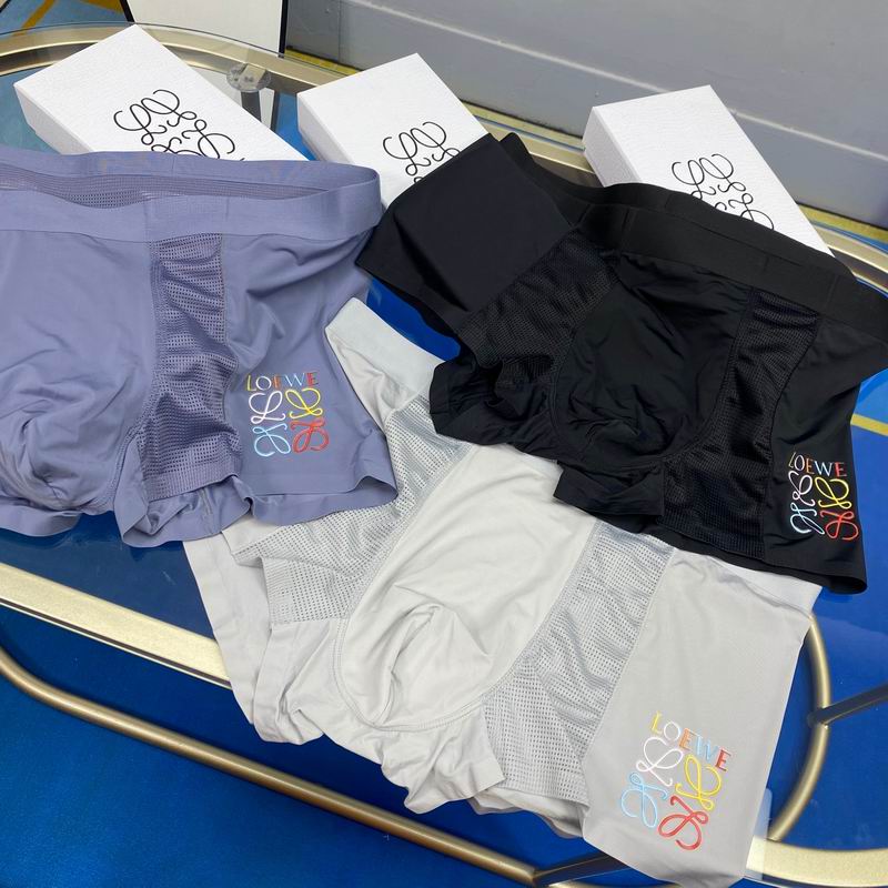 Loewe boxer L-3XL  (1)