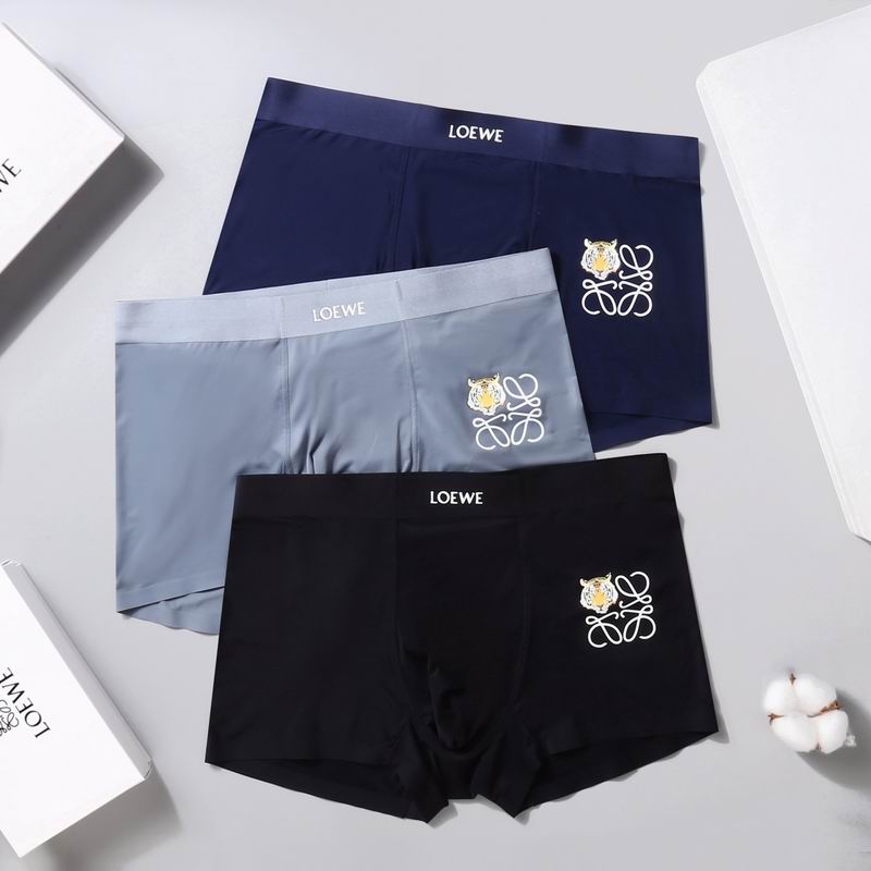 Loewe boxer L-3XL  (1)
