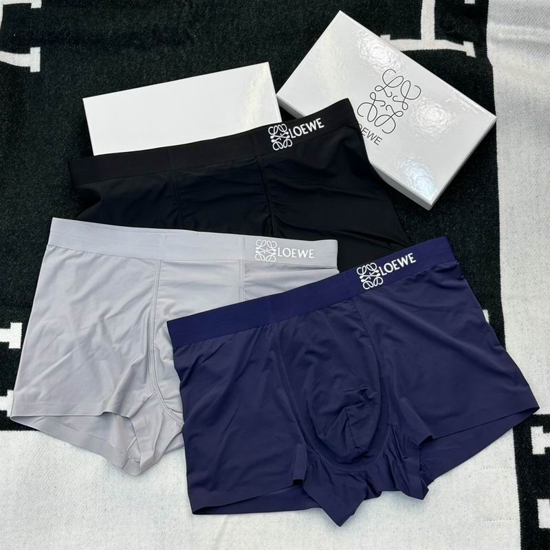 Loewe boxer L-3XL  (1)