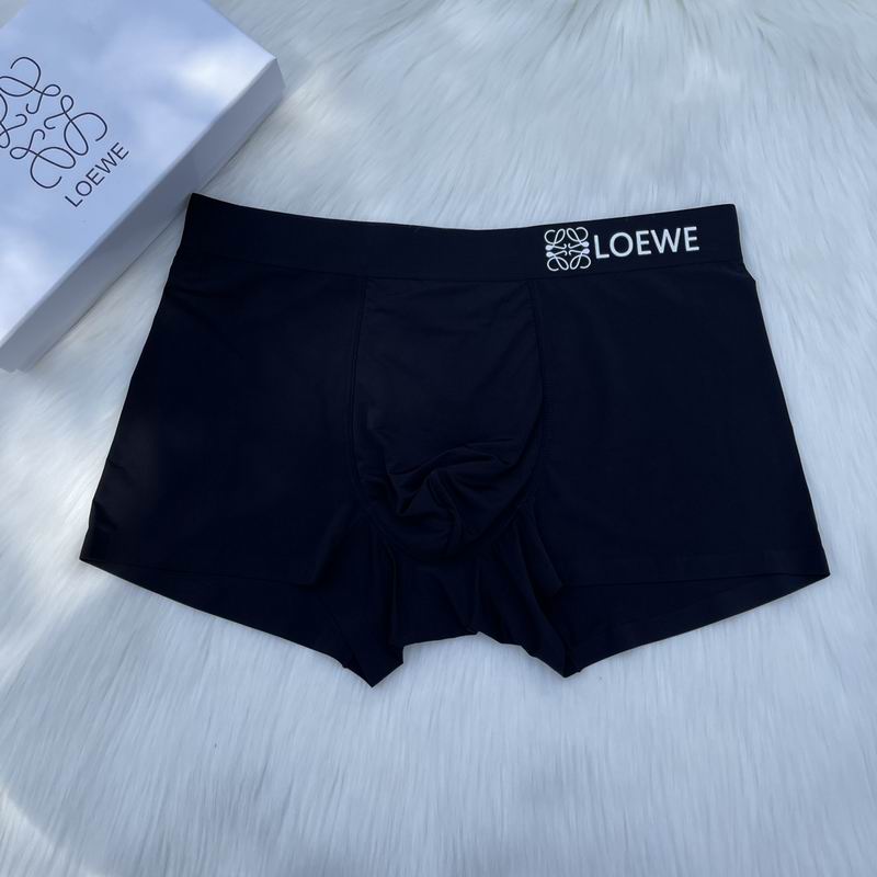 Loewe boxer L-3XL  (1)