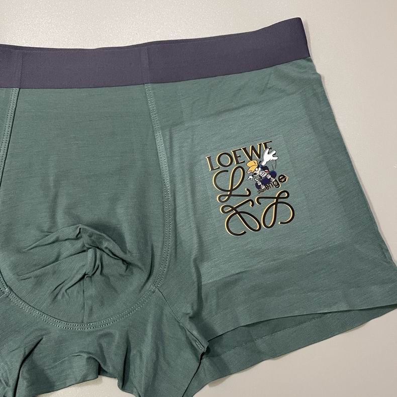 Loewe boxer L-3XL  (1)