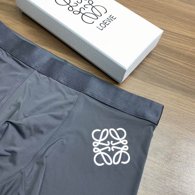 Loewe boxer L-3XL  (2)