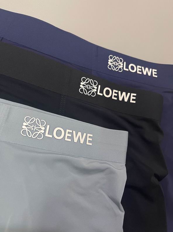 Loewe boxer L-3XL  (2)