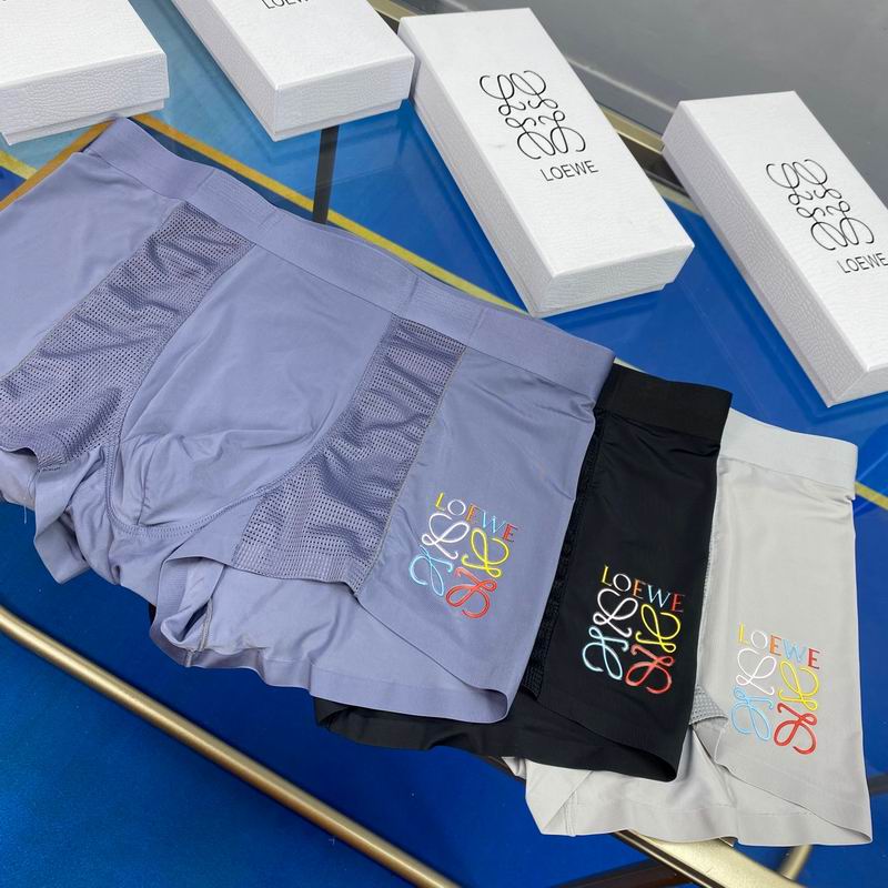 Loewe boxer L-3XL  (3)