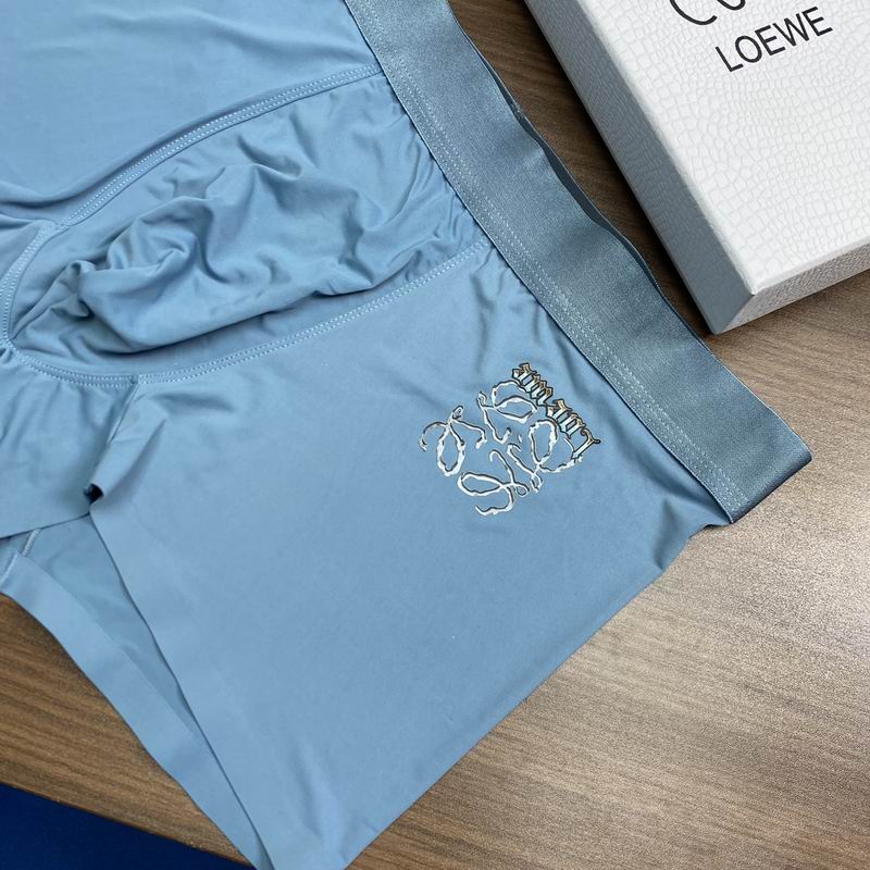 Loewe boxer L-3XL  (3)