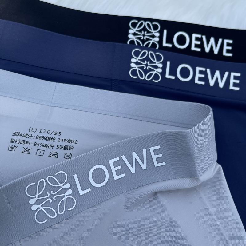 Loewe boxer L-3XL  (3)