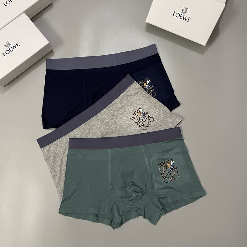 Loewe boxer L-3XL  (3)