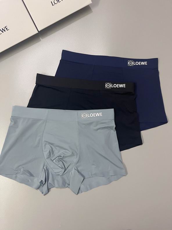 Loewe boxer L-3XL  (3)