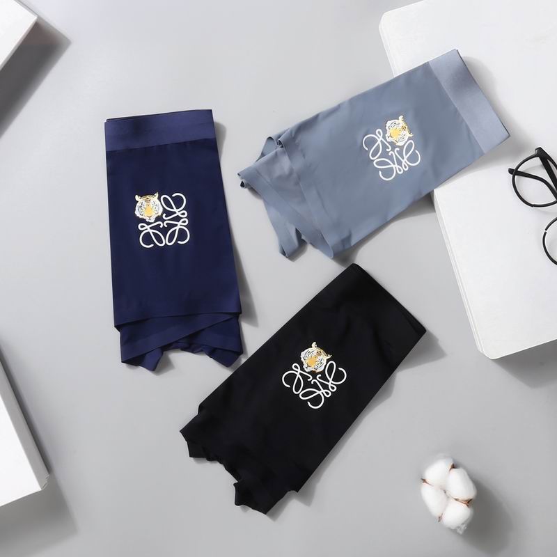 Loewe boxer L-3XL  (4)